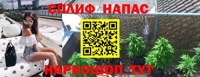 Альфа ПВП Ярославль